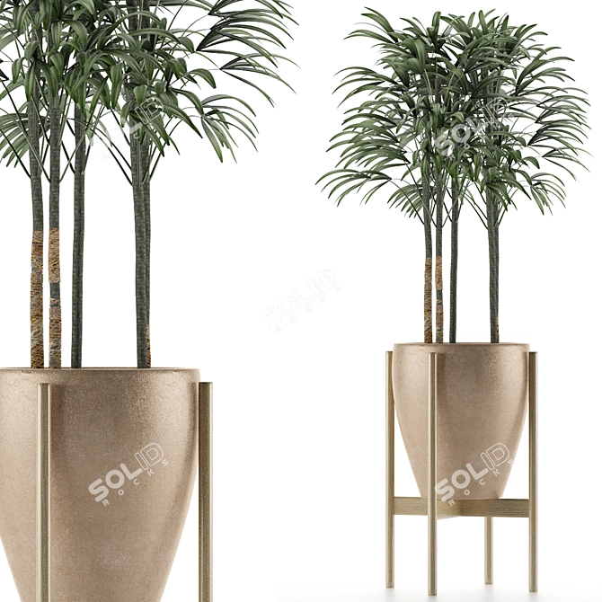 Exotic Palm Tree - Single Plant 10 3D model image 1