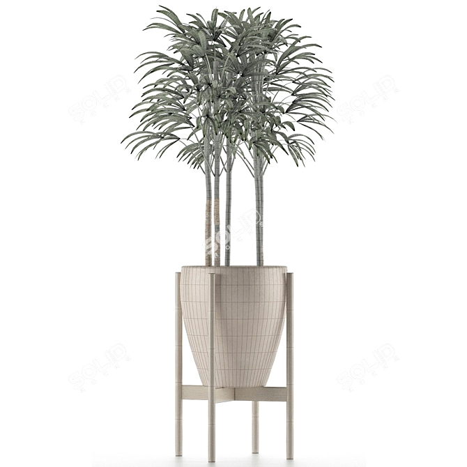 Exotic Palm Tree - Single Plant 10 3D model image 4