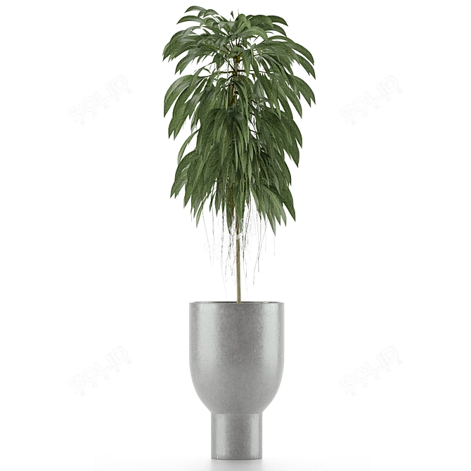 Tropical Elegance: Single Plant 11 3D model image 2