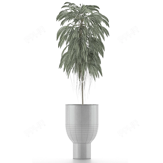 Tropical Elegance: Single Plant 11 3D model image 4