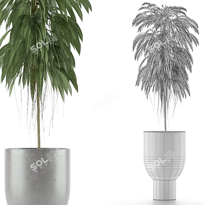 Tropical Elegance: Single Plant 11 3D model image 5