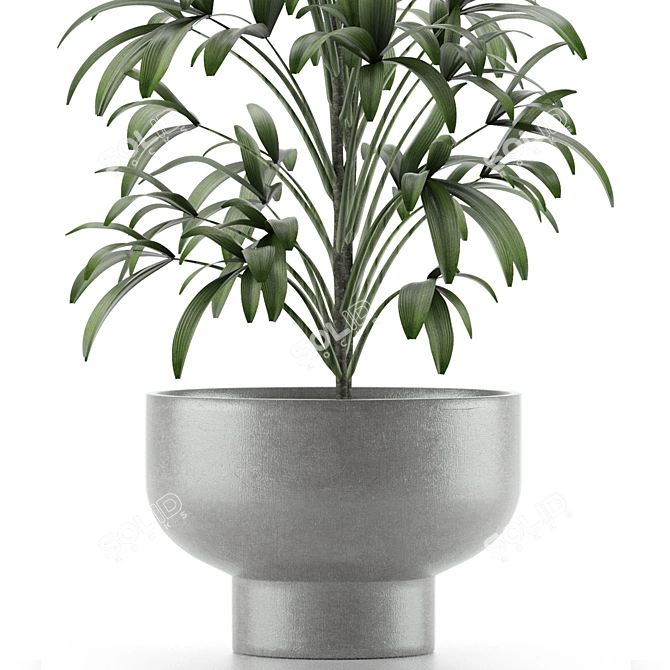 Exotic Palm Tree Pot - Single Plant 12 3D model image 3