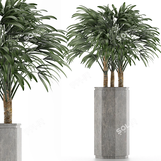 Exotic Ravenala Palm: Stunning Single Plant 3D model image 1