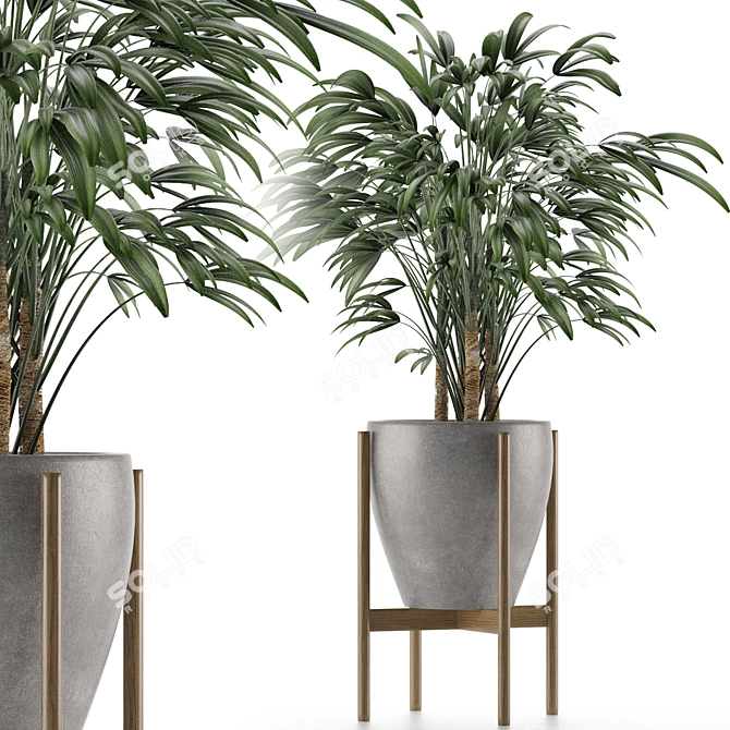 Exotic Single Palm Tree 3D model image 1
