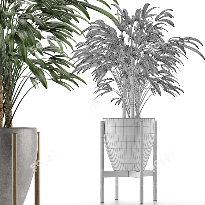 Exotic Single Palm Tree 3D model image 4