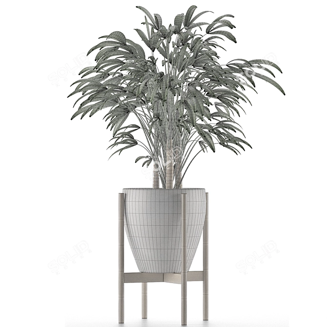 Exotic Single Palm Tree 3D model image 5