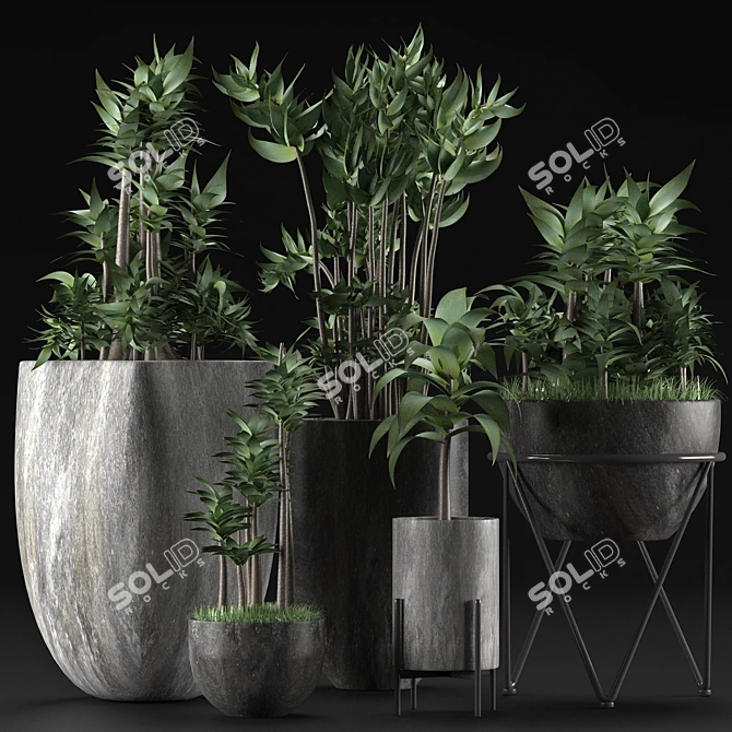 Tropical Paradise: Exotic Plants Collection 3D model image 1