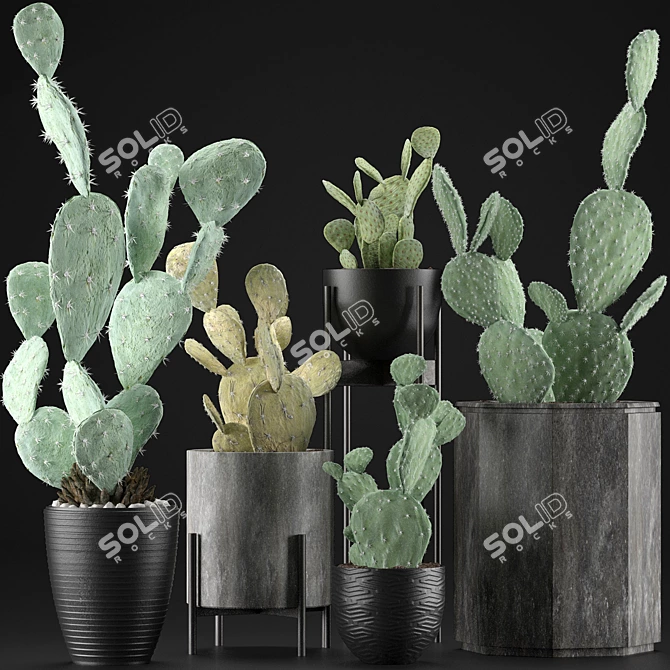 Exotic Plant Collection: Tropics in a Pot 3D model image 2