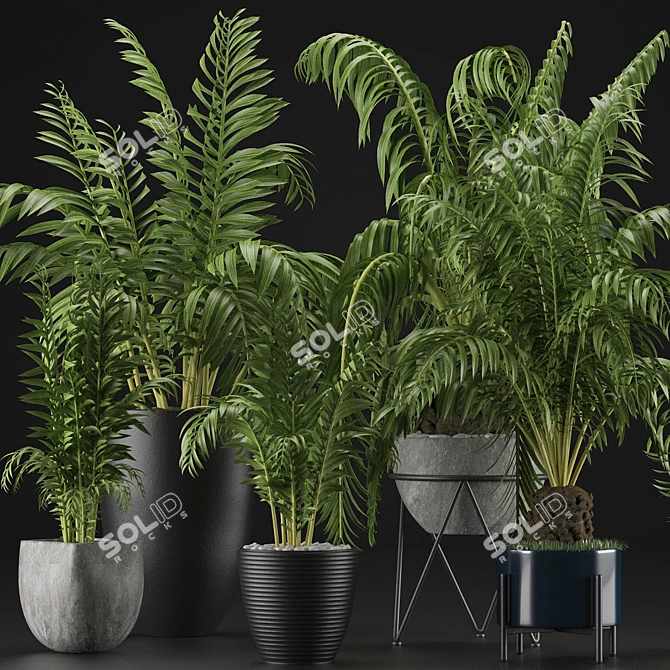 Exotic Palm Trees: Plants Collection 3D model image 2