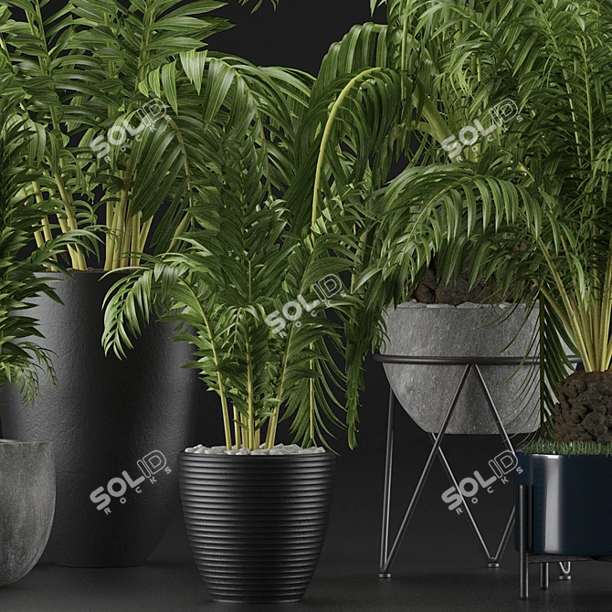 Exotic Palm Trees: Plants Collection 3D model image 3