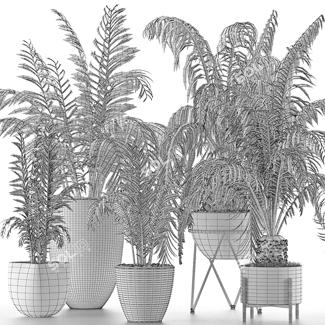 Exotic Palm Trees: Plants Collection 3D model image 5