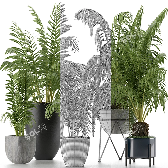Exotic Palm Trees: Plants Collection 3D model image 8