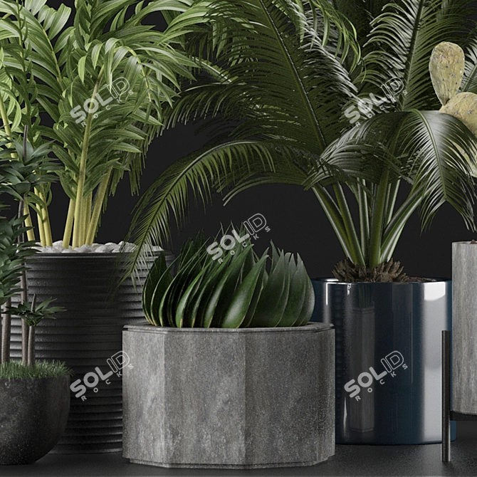 Title: Exotic Plants Collection 3D model image 2