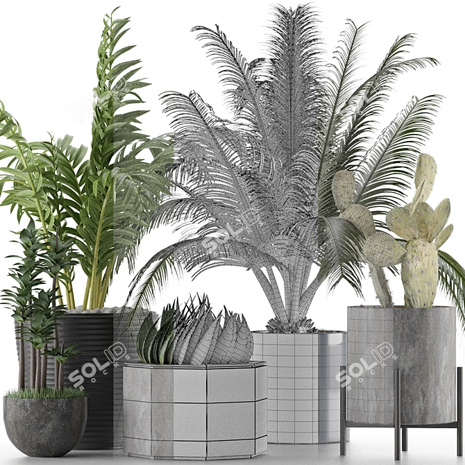 Title: Exotic Plants Collection 3D model image 4