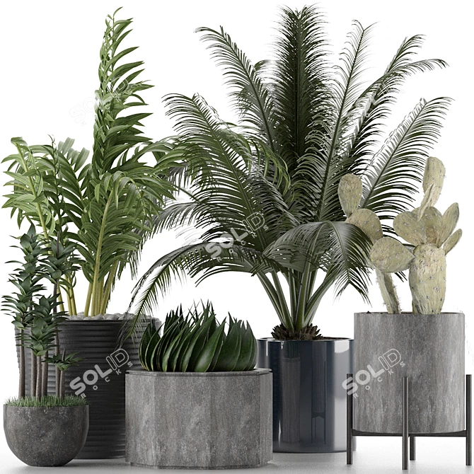 Title: Exotic Plants Collection 3D model image 6