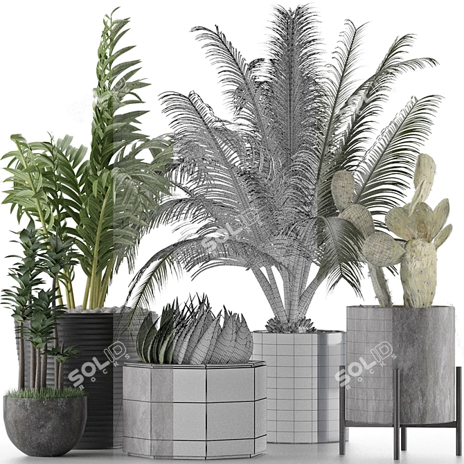 Title: Exotic Plants Collection 3D model image 7