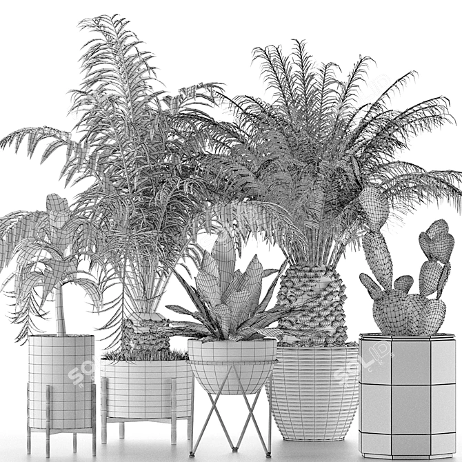 Exotic Palm Trees Collection 3D model image 5