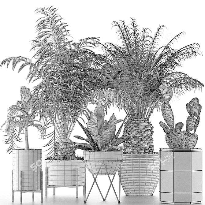 Exotic Palm Trees Collection 3D model image 9