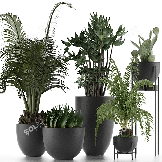 Exotic Plant Collection: Decorative Palm Trees, Office Flowers & More 3D model image 1