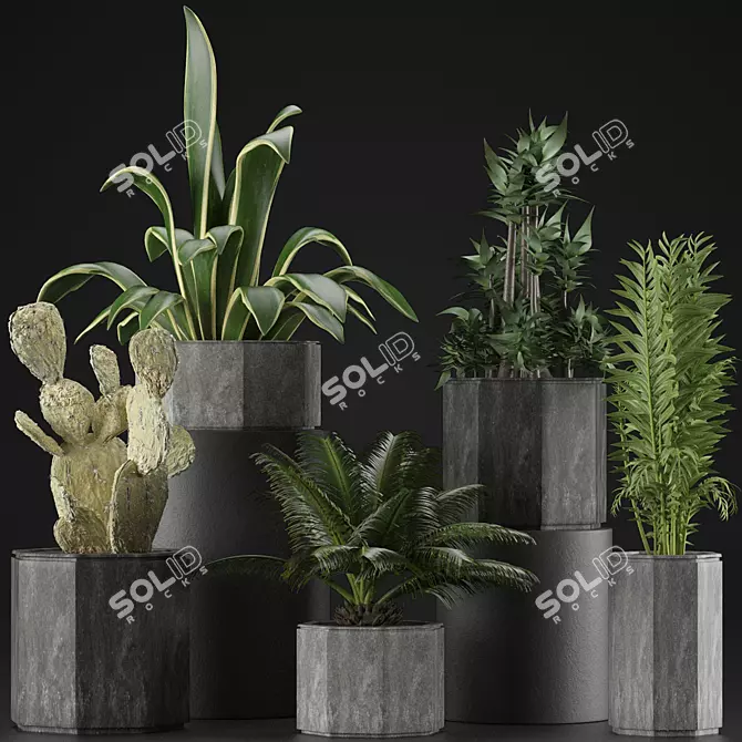 Tropical Oasis: Exotic Plants Collection 3D model image 1