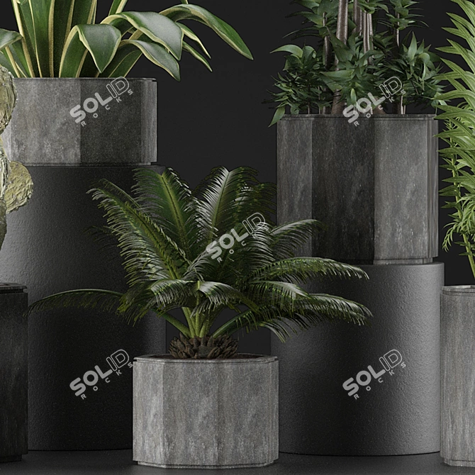 Tropical Oasis: Exotic Plants Collection 3D model image 2