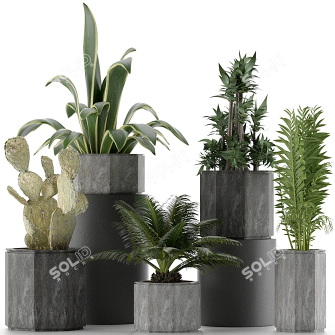 Tropical Oasis: Exotic Plants Collection 3D model image 3
