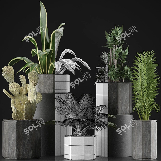 Tropical Oasis: Exotic Plants Collection 3D model image 4