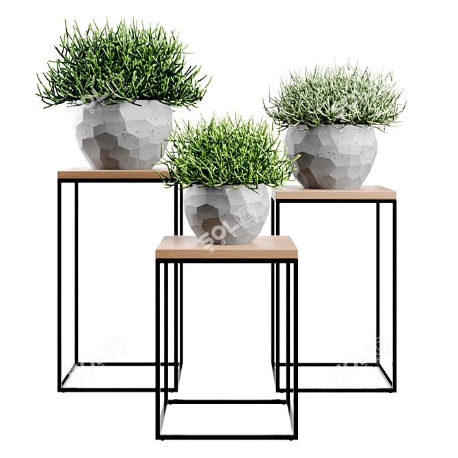 Modern Concrete Vases Set 3D model image 1