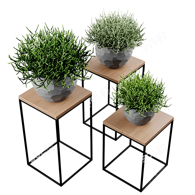 Modern Concrete Vases Set 3D model image 4