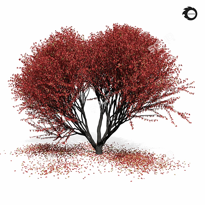 Elegant Maple Tree 8s 3D model image 3