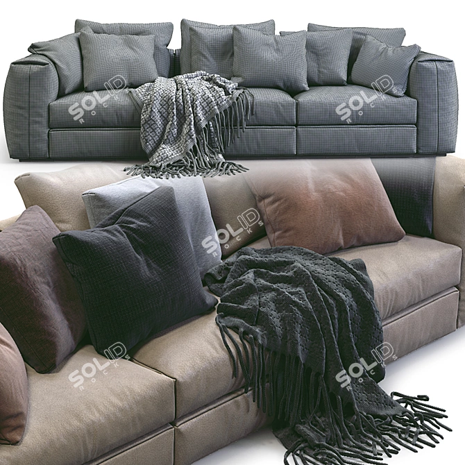 Asolo Flexform Leather Sofa: Timeless Elegance 3D model image 3