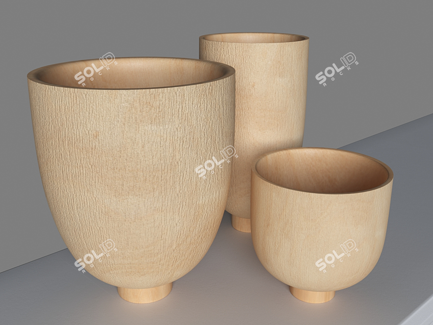 Sato Wooden Vases - Handcrafted Elegance 3D model image 2