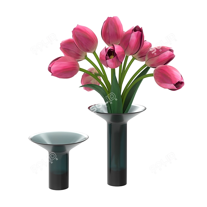 Sleek Chic: NISI by Antonio 3D model image 1