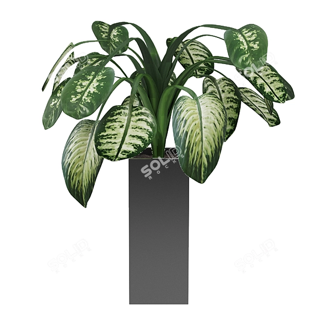 Exquisite Aglaonema: Premium Quality! 3D model image 4