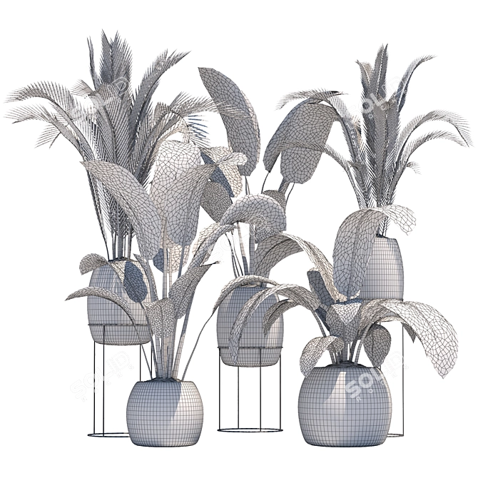 Tropical Plant Collection: Palm & Banana 3D model image 5