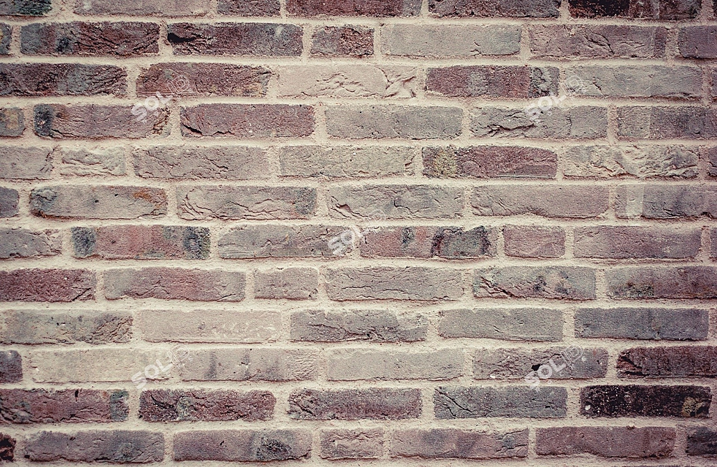 Vintage Brick Texture 3D model image 1