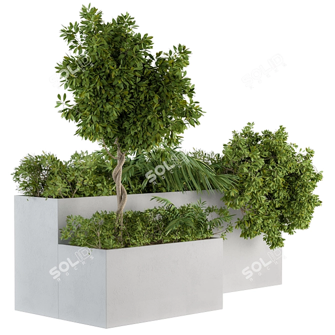 Modern Concrete Planter Set - 45 Outdoor Plants 3D model image 1