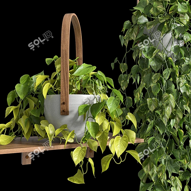 Lush Hanging Scindapsus Duo 3D model image 7