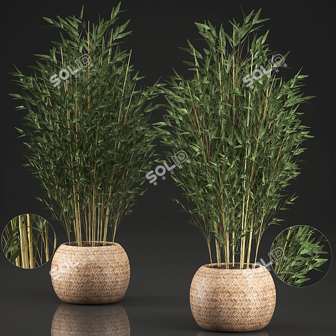 Exotic Bamboo Tree in Rattan Basket - Indoor Tropical Plant Collection 3D model image 1