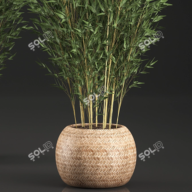 Exotic Bamboo Tree in Rattan Basket - Indoor Tropical Plant Collection 3D model image 3