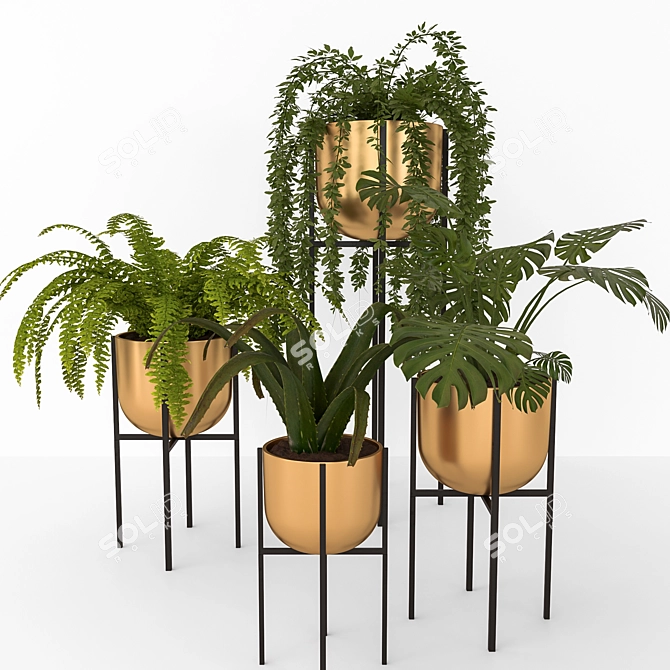  Corona Plant Set | 3DSMAX, FBX 3D model image 1