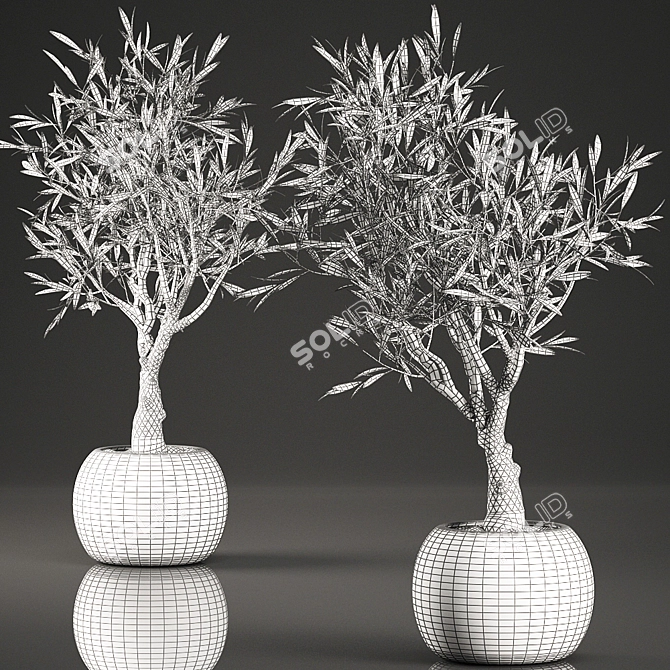 Exotic Olive Tree in Wicker Basket 3D model image 5