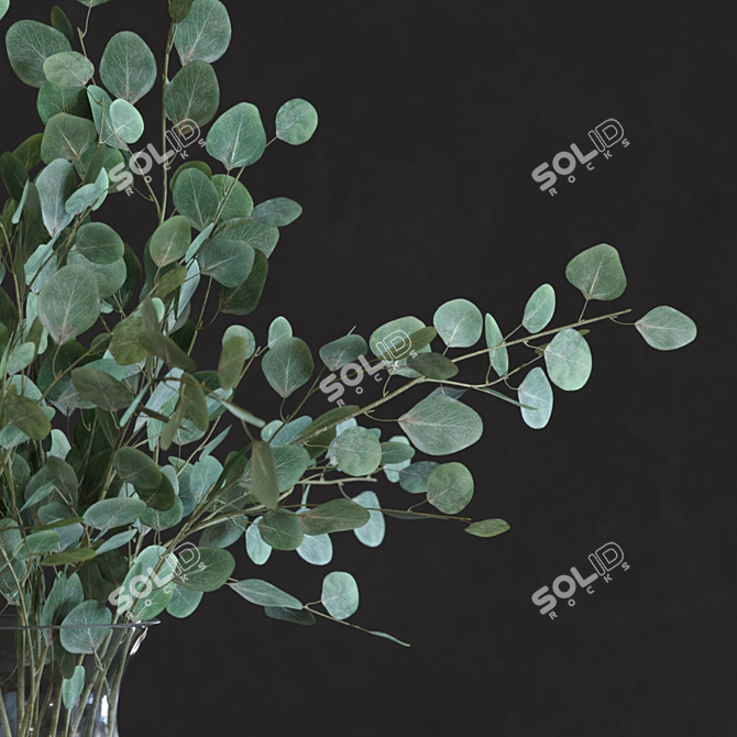 Eucalyptus Silver Dollar Faux Branch Set 3D model image 3