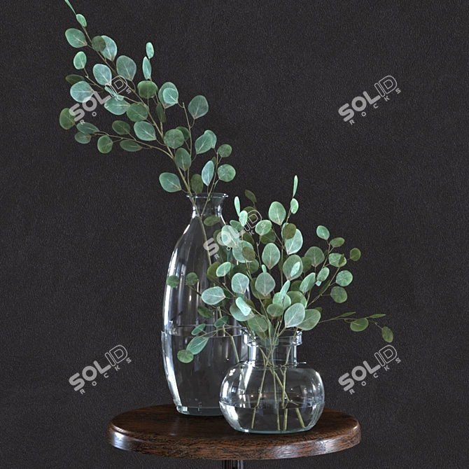 Silver Dollar Eucalyptus Set 3D model image 1