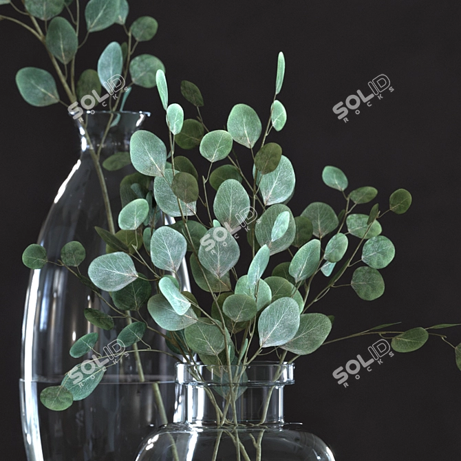 Silver Dollar Eucalyptus Set 3D model image 2