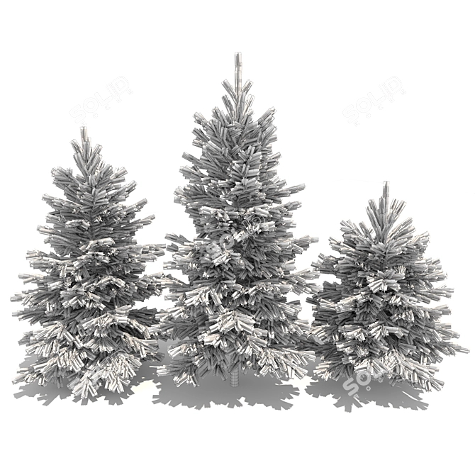 Realistic Fir-tree Set 3D model image 5