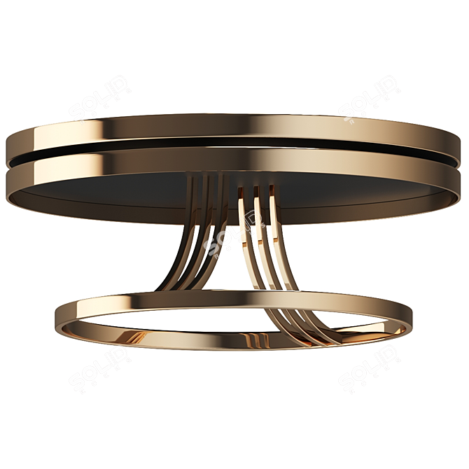 Luwit Golden Metal Coffee Table 3D model image 3