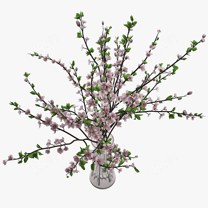Blossoming Plum Branch Vase 3D model image 3