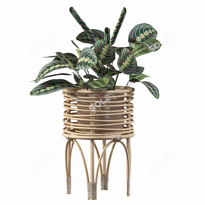 Elegant Rattan Maranta Stand 3D model image 3