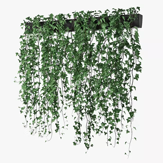 Lush Ivy Plant in Pot 3D model image 1